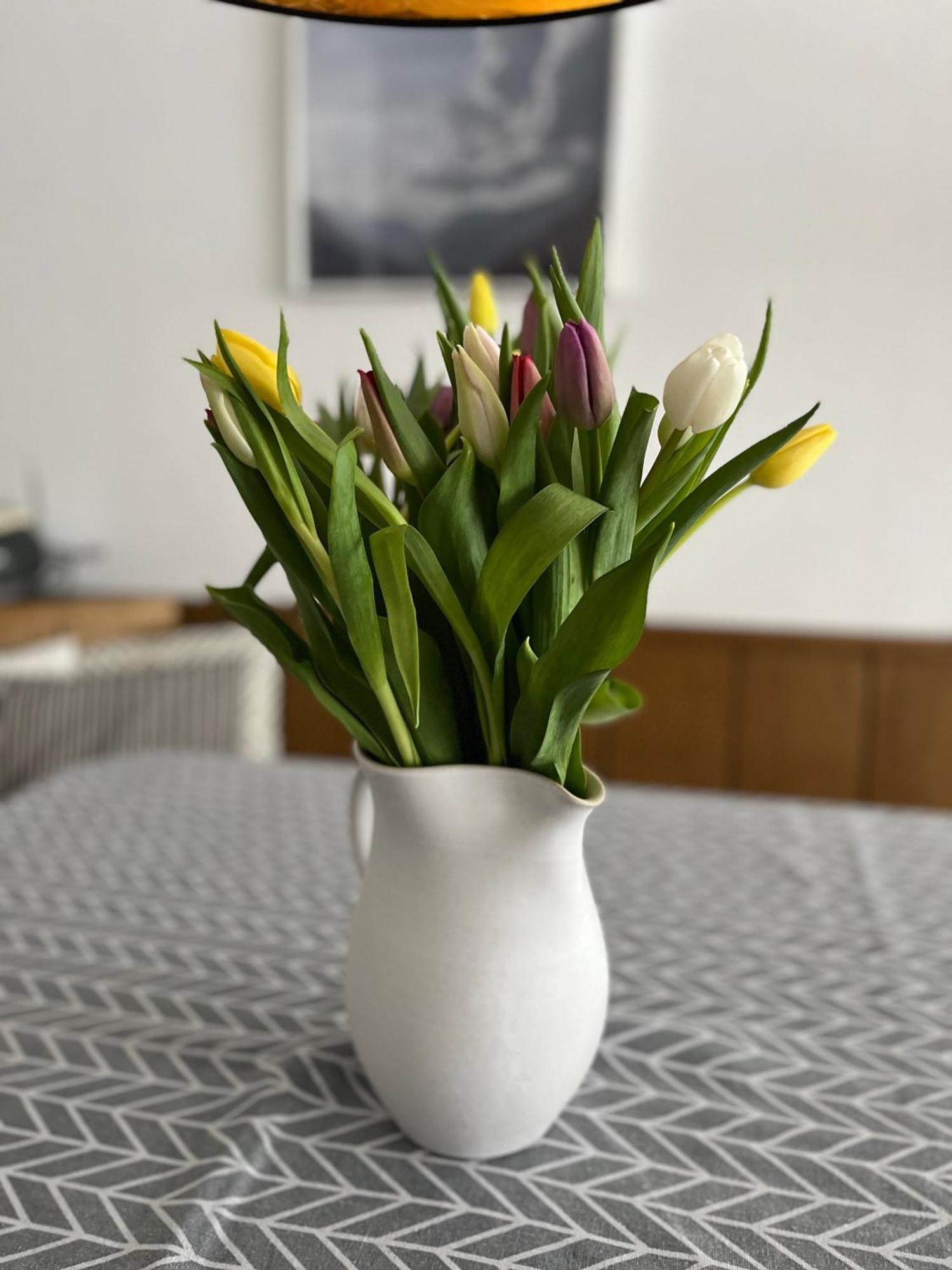 Appartement Malejo Am Hochkoenig Bachwinkl ภายนอก รูปภาพ